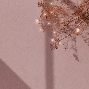 Meet your Posher, Kirsten